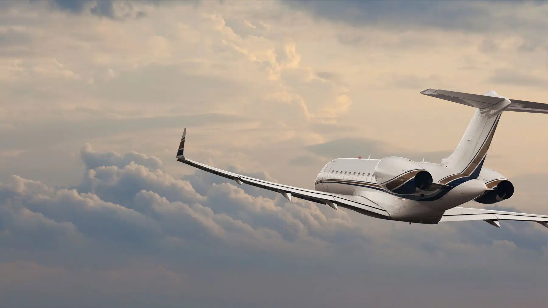 Flying internationally in a private jet